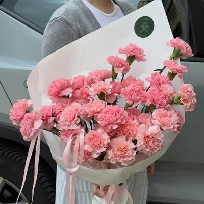 Blooming Love Carnation Bouquet