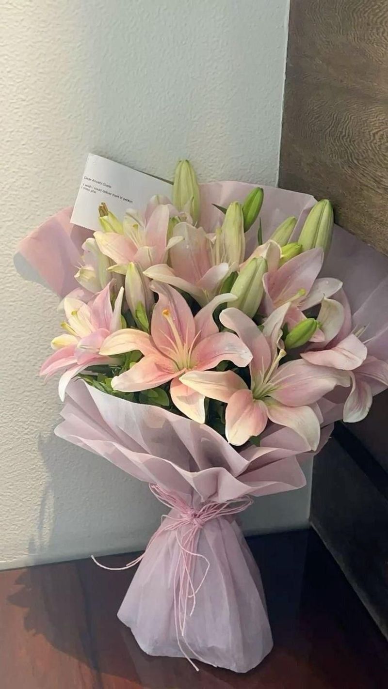 Pure Harmony Pink Lilies