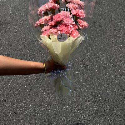 30 Premium Pink Carnation Bouquet – Blushing Elegance