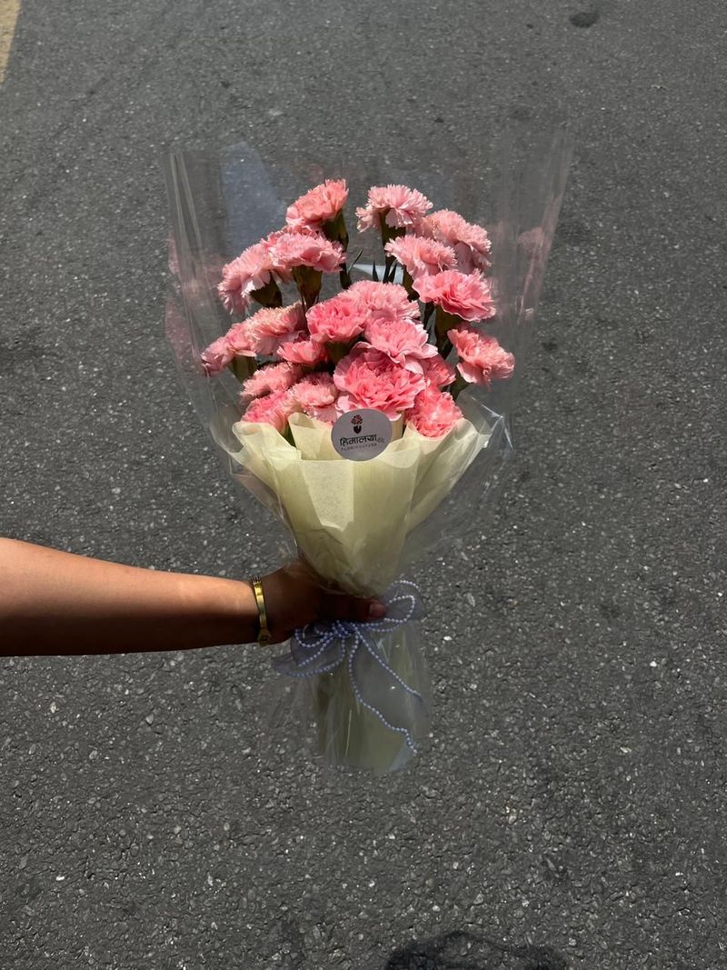 30 Premium Pink Carnation Bouquet – Blushing Elegance