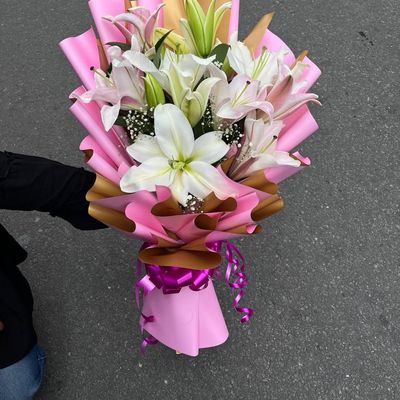 Five Lily Bliss