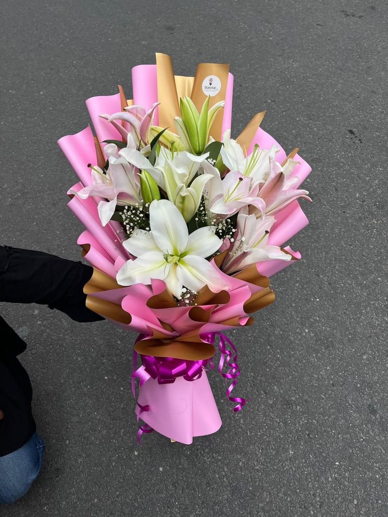 Five Lily Bliss