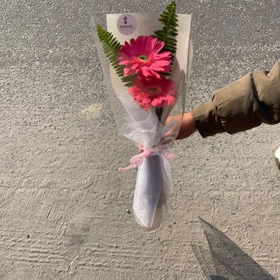The Petite Pink Gerbera Aesthetic Arrangement