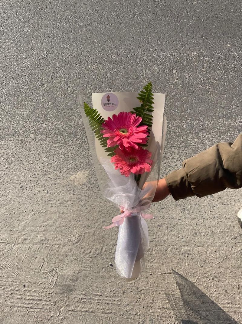 The Petite Pink Gerbera Aesthetic Arrangement