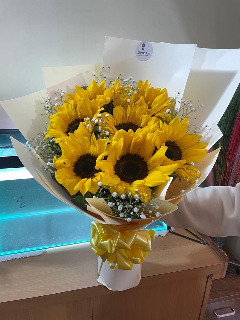 The Sun-Drenched 7-Stem Sunflower Bouquet