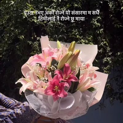 The Starlight Serenade – 6 Stem Premium Lily Bouquet
