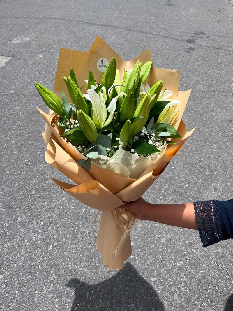 The Classic Lily Collection