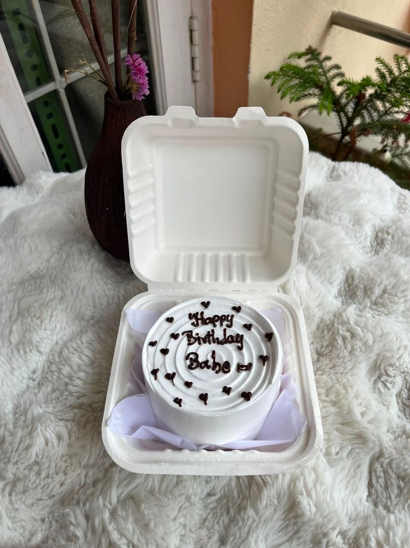 Minimalist Bento Cake