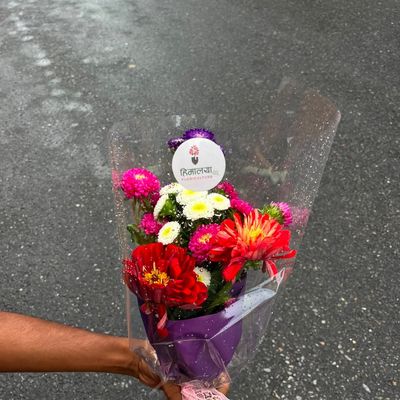 Premium Daisy Gerbera Bouquet