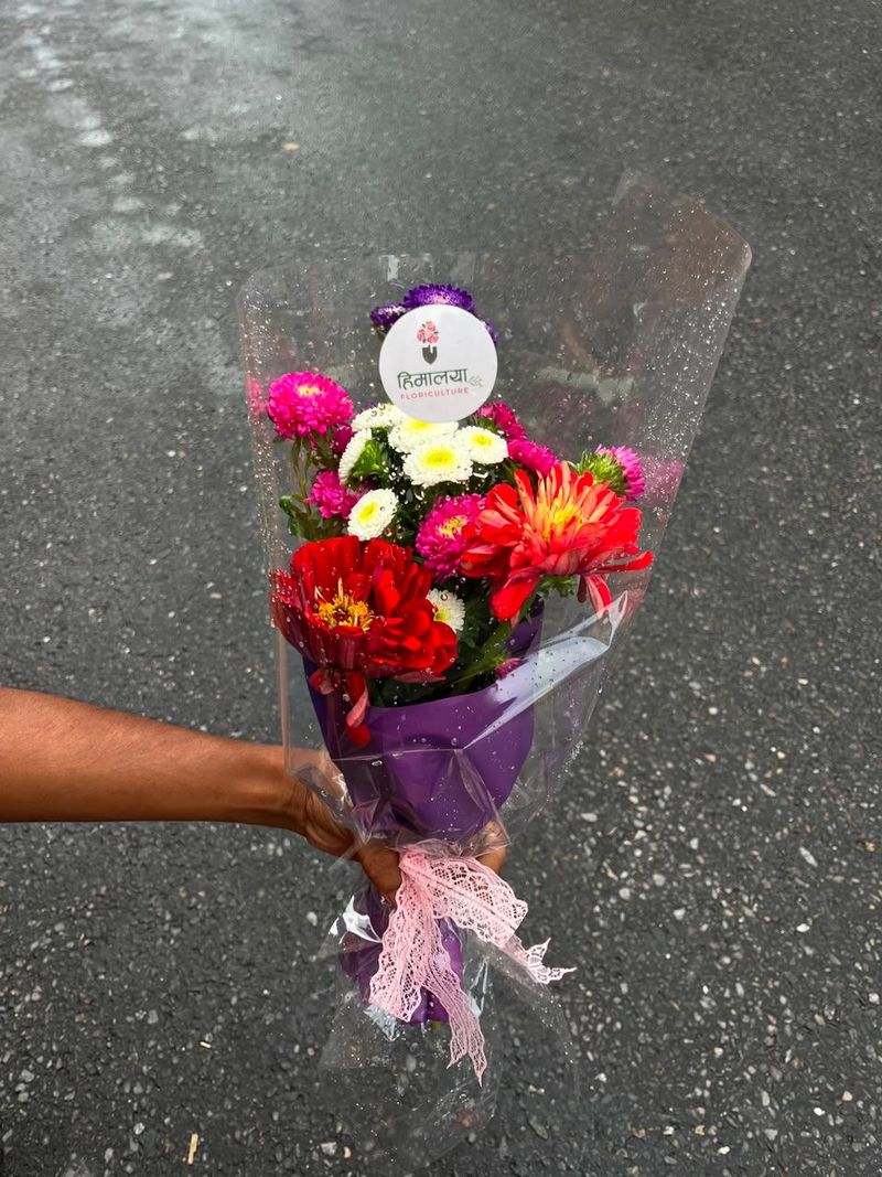 Premium Daisy Gerbera Bouquet