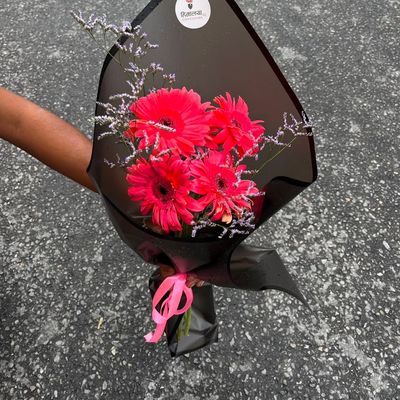 Pretty in Pink Gerbera
