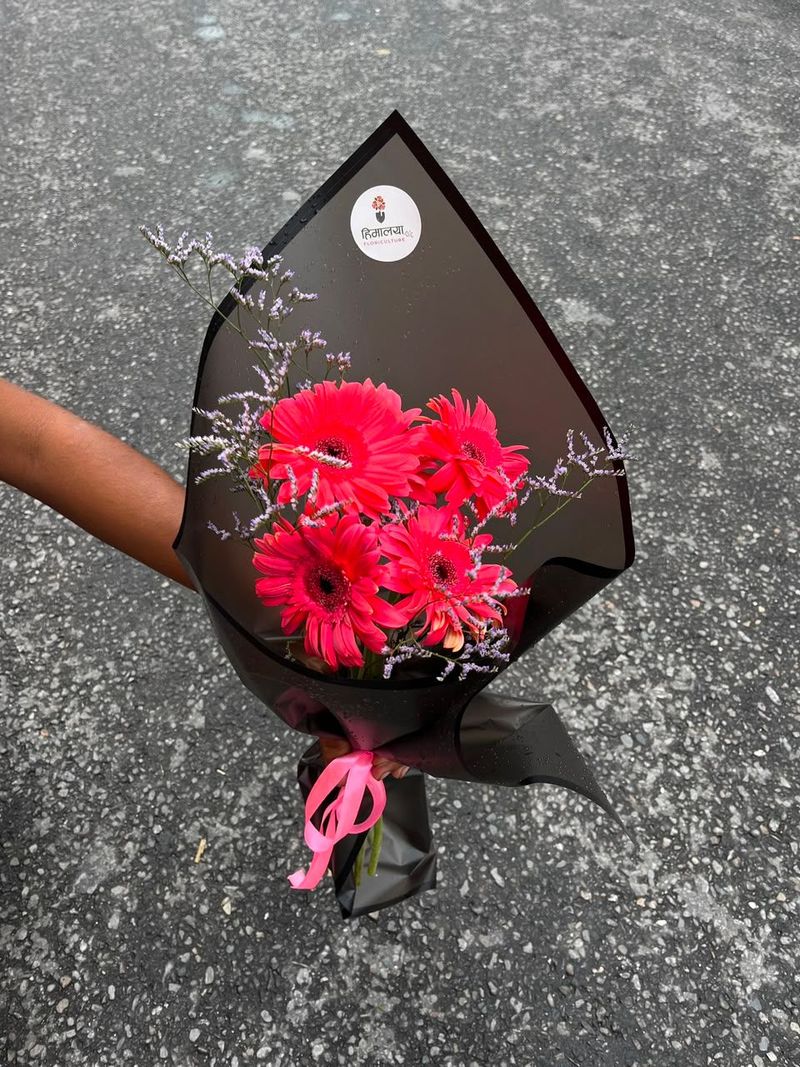 Pretty in Pink Gerbera