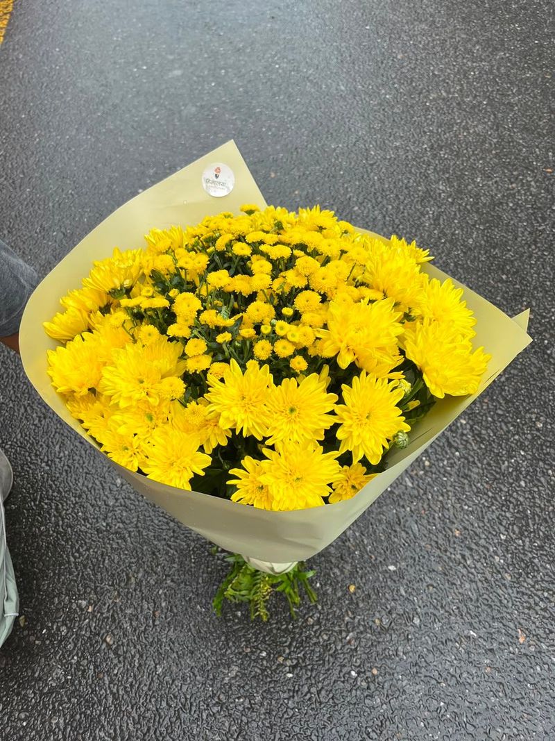 15-Stem Yellow Daisy Bouquet
