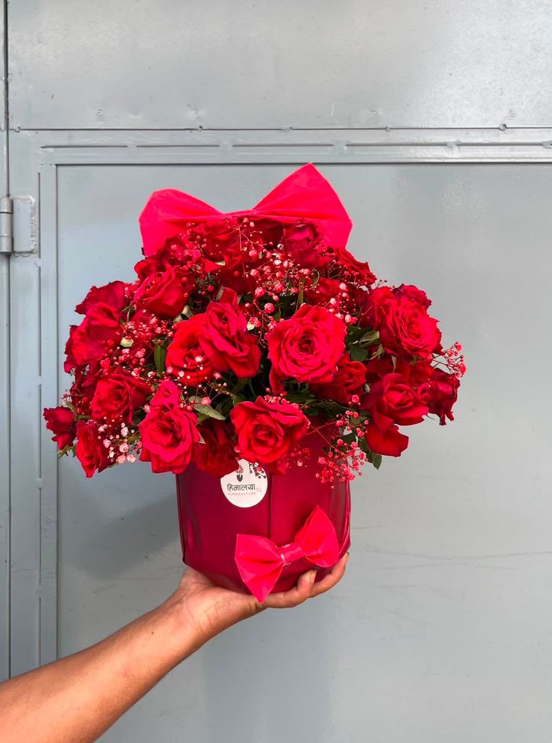 20 Red Roses Decorative Ceramic Pot