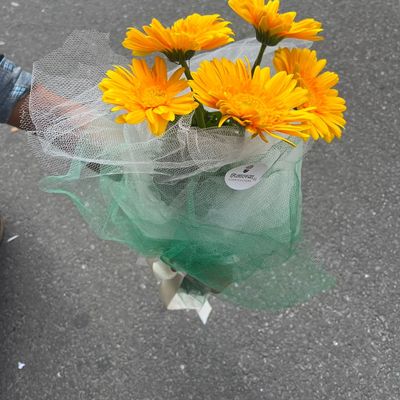 5 Yellow Gerbera Bouquet