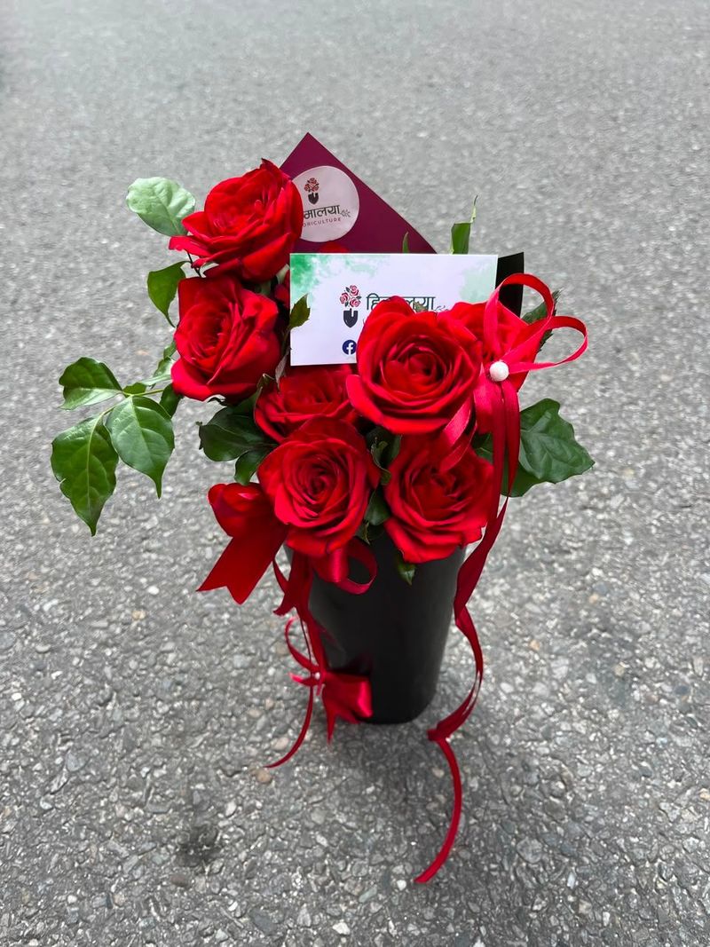 Premium Wrapped 7 Red Rose