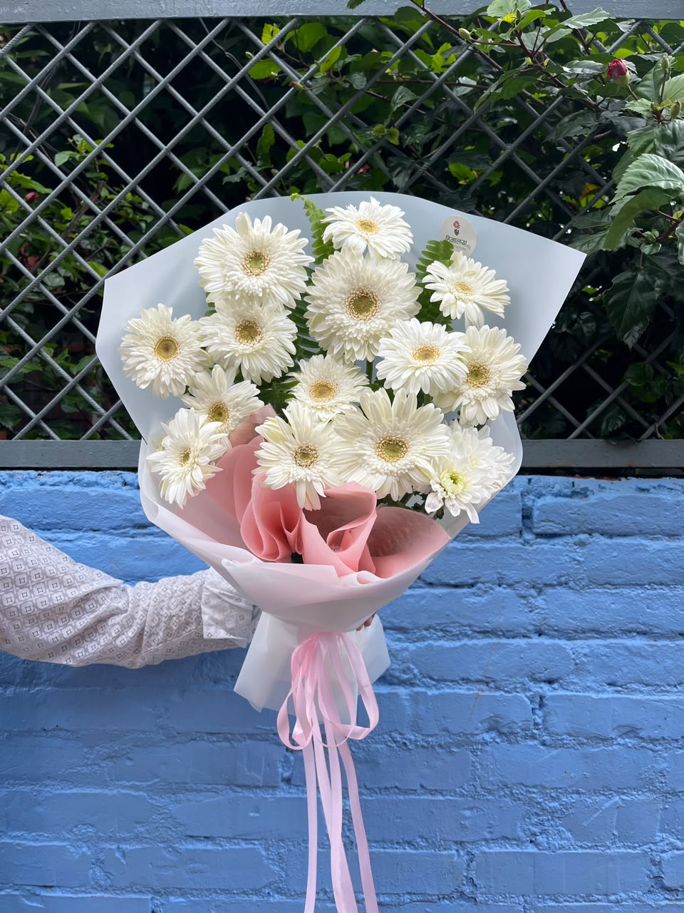 Pure White – 15 Gerbera Bouquet Flower color, size, and availability may vary depending on the season. Natural variations in flowers are normal, and wrapping may differ slightly from the product image.