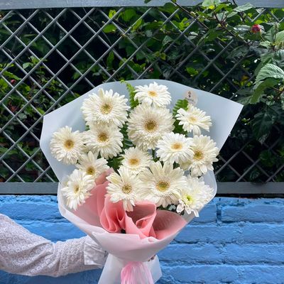 Pure White – 15 Gerbera Bouquet