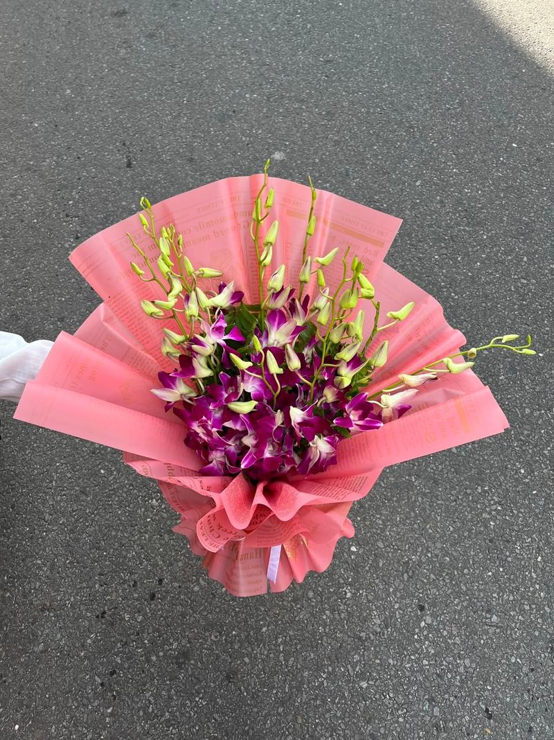 Gladiolus 20