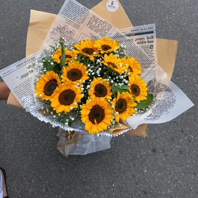 Sunflower-12