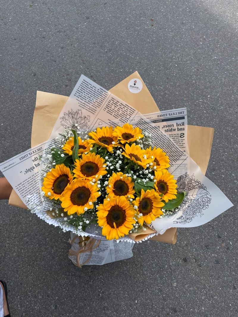 Sunflower-12