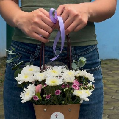 Matcha & Daisies – Sweet Little Surprise