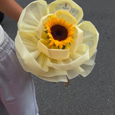 Sunshine for You