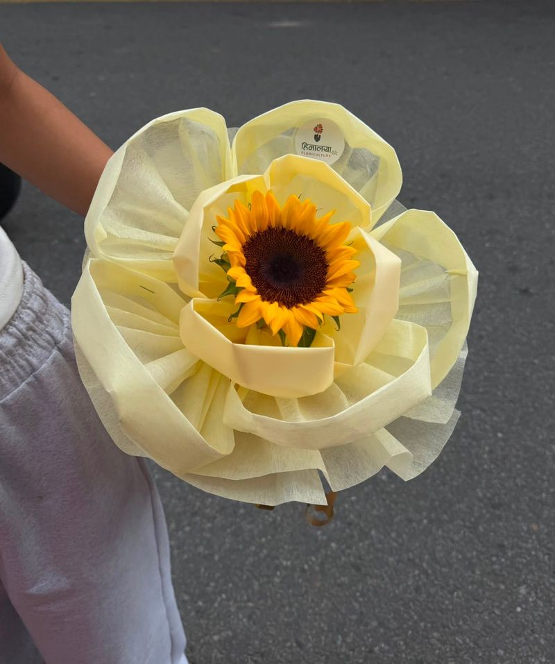 Sunshine for You