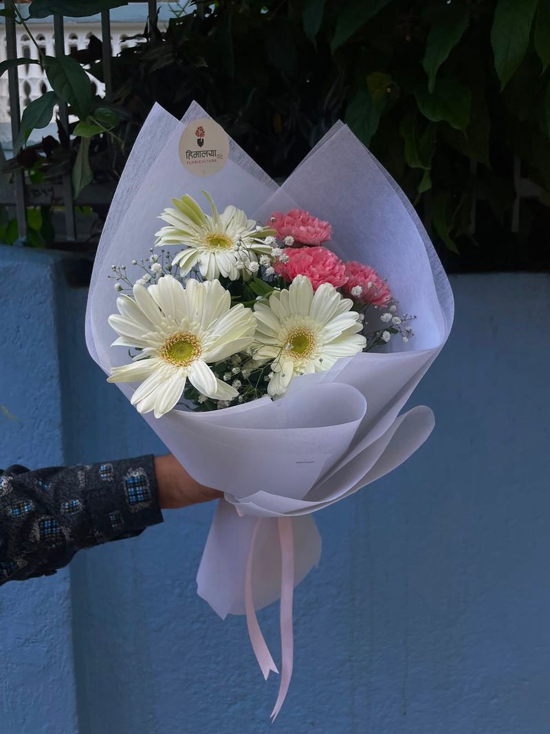 Carnation Gerbera Serenity
