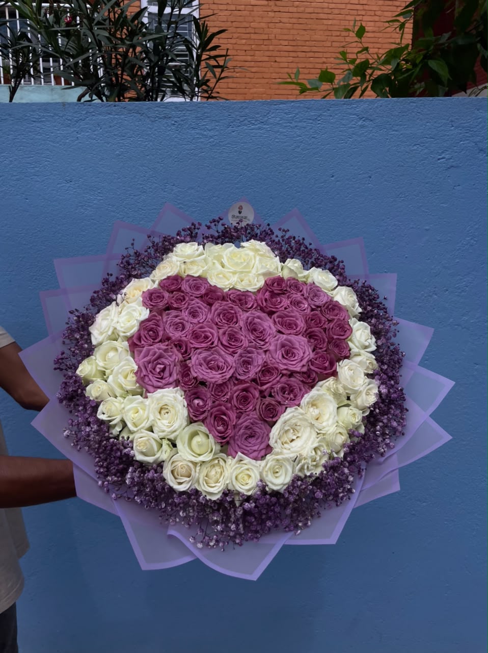 Make a grand romantic statement with this stunning heart-shaped rose bouquet, featuring 41 fresh white roses and 45 vibrant purple roses, beautifully arranged and surrounded by delicate purple gypsophila (baby’s breath). The roses create a striking white-and-purple contrast, while the gypsophila wrapped around the blooms adds softness, volume, and an elegant finishing touch. The entire arrangement is presented in premium purple wrapping, completing its luxurious and romantic look.