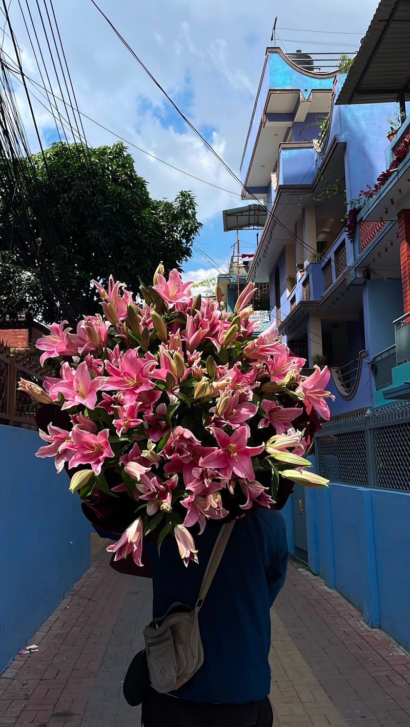 Pink Bloom 20