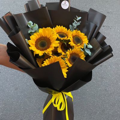 Sunshine in Black