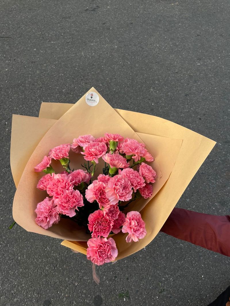 Vintage Pink Romance – 25 Pink Carnation Bouquet