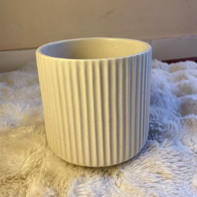 Elegant White Ribbed Ceramic Pot