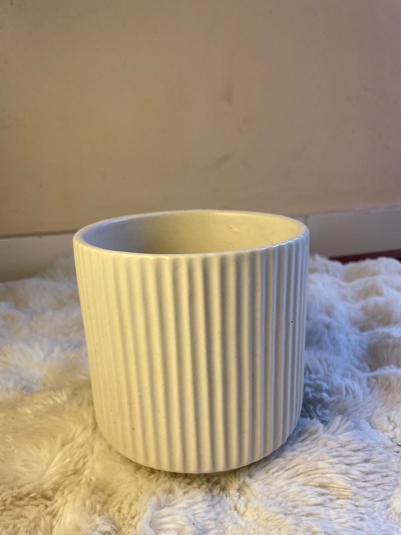 Elegant White Ribbed Ceramic Pot