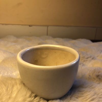 Pure White Succulent Pot