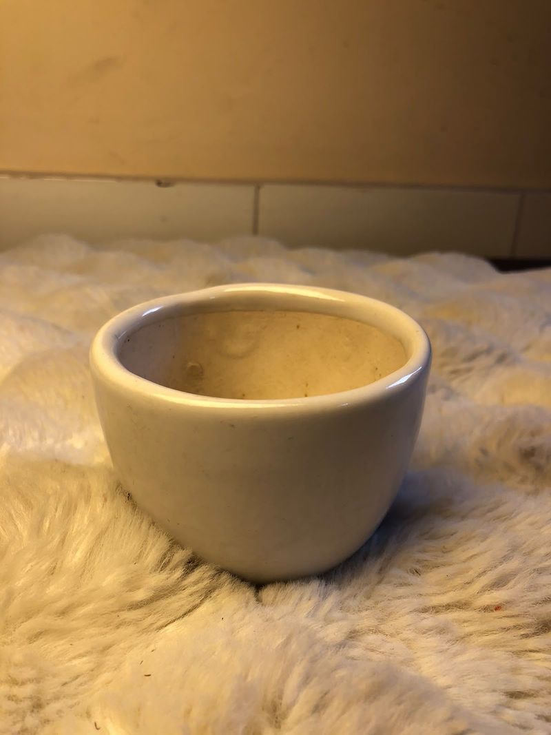 Pure White Succulent Pot