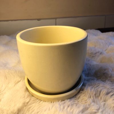 Classic White Pot